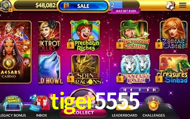 Descubra o Mundo do Cassino Online com tiger5555
