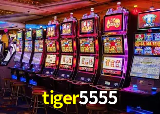 Descubra a Essência do tiger5555: Nossa História e Compromissos