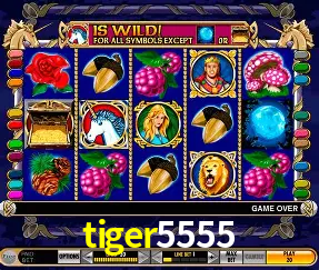 Descubra o Mundo do Cassino Online com tiger5555