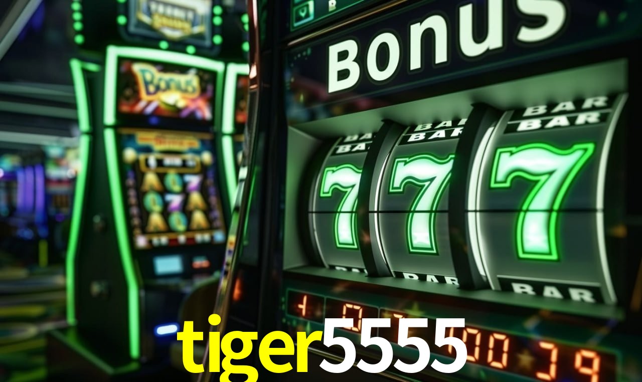 Live Casino tiger5555